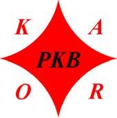 mgr inż. Jerzy Ciesielczuk kontakt tel. kom. 515 634 337 stacj. 32 231 82 97 e-mail karo@pkbkaro.pl www.pkbkaro.pl PKB ul.