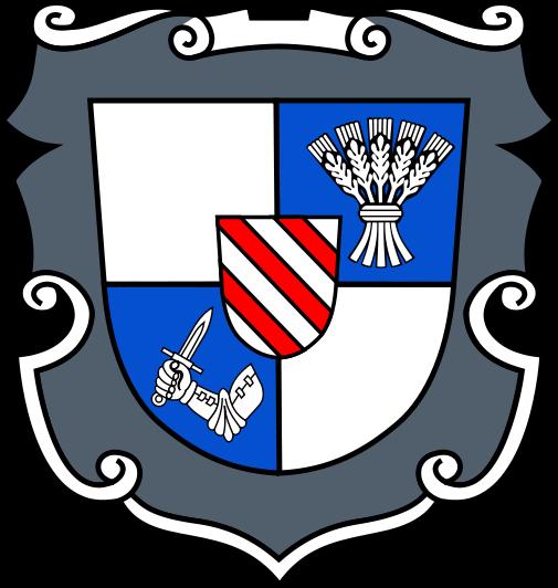 Gminny Program