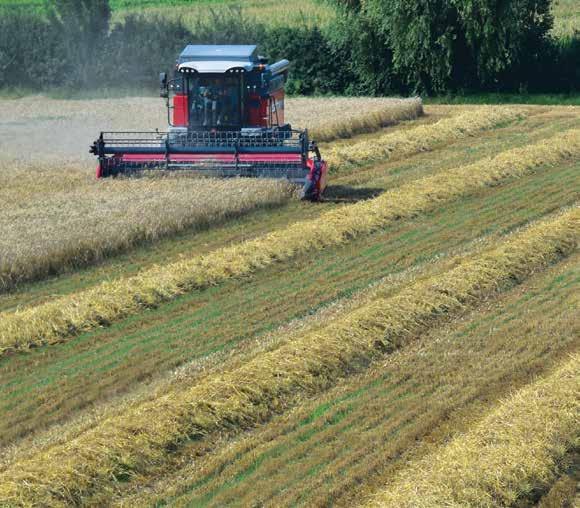 08 www.masseyferguson.com Jakość słomy Wysoką jakość słomy zapewnia delikatny systemu omłotu.