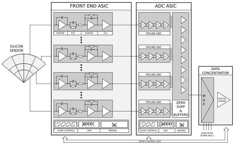 Architektura odczytu detektora LumiCal Front-end ASIC 32-64