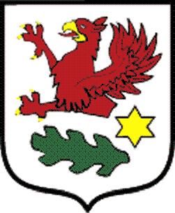 Załącznik do Uchwały NR XXXIII/307/17 Rady Miejskiej w Gryfinie z dnia 23