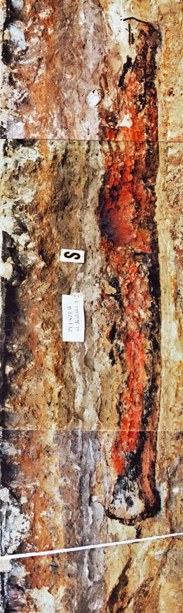 nia archeologiczne przeprowadzone w trakcie robót budowlanych dostarczyły kolejnych elementów wzbogacających wiedzę na temat historii kształtowania się ośrodka miejskiego Pleszewa w wiekach średnich