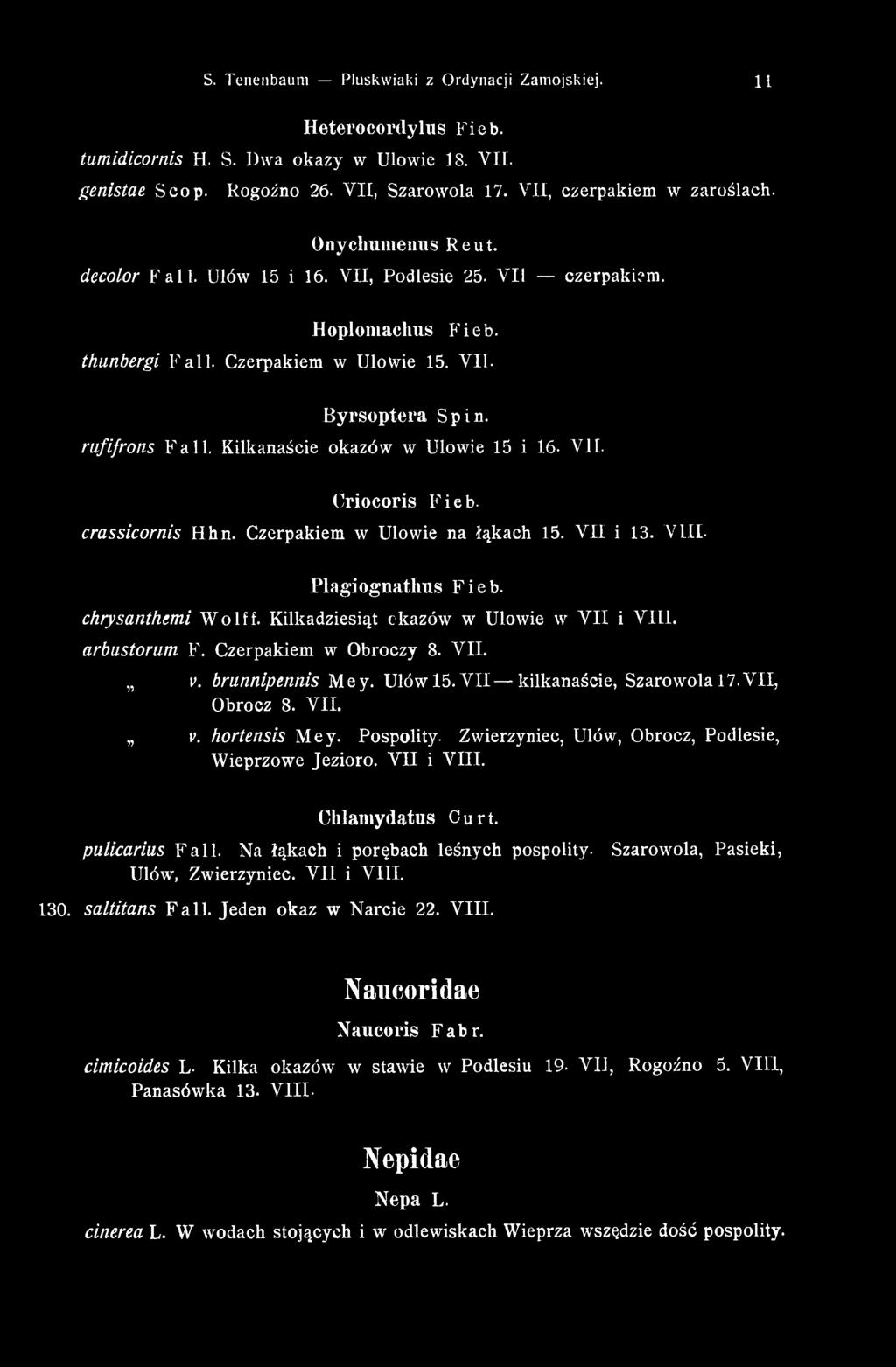 Kilkanaście okazów w Ulowie 15 i 16. VII. C riocoris Fieb. crassicornis Hhn. Czerpakiem w Ulowie na łąkach 15. V II i 13. V III. P lagiogn ath u s Fieb. chrysanthtm i Wolff.