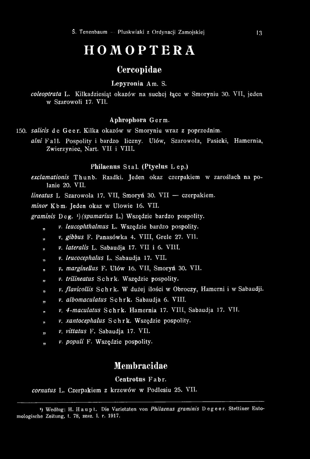 (P tyelus Lep.) exclamationis Thunb. Rzadki. Jeden okaz czerpakiem w zaroślach na polanie 20. VII. lineatus L Szarowola 17. V II, Smoryó 30. V II czerpakiem. minor Kbm. Jeden okaz w Ulowie 16. VII. graminis Deg.