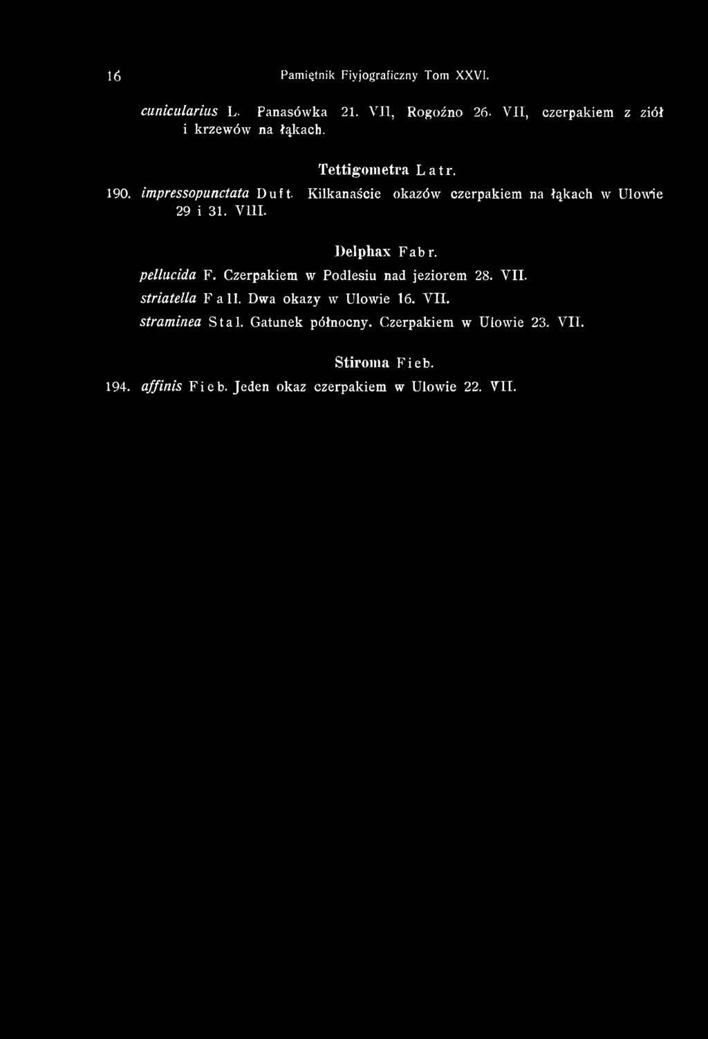 Kilkanaście okazów czerpakiem na łąkach w Ulowie 29 i 31. VIII. Delphax Fabr. pellucida F.