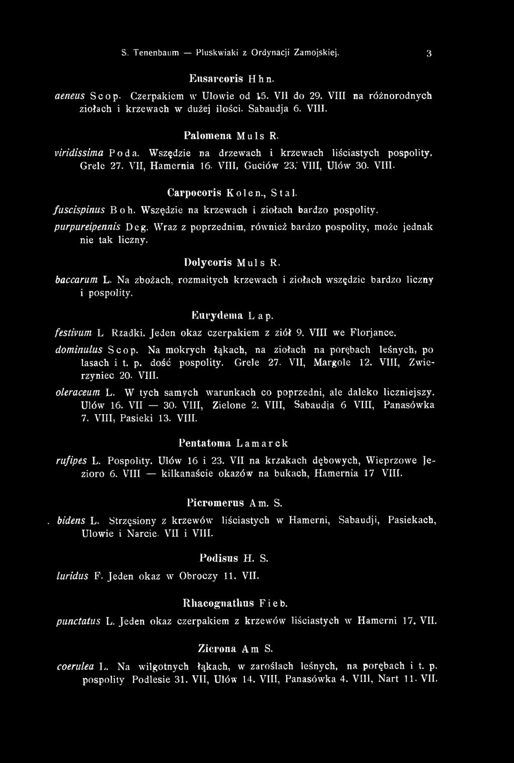 Wszędzie na krzewach i ziołach bardzo pospolity. purpureipennis Deg. Wraz z poprzednim, również bardzo pospolity, może jednak nie tak liczny. D olycoris Muls R. baccarum L.