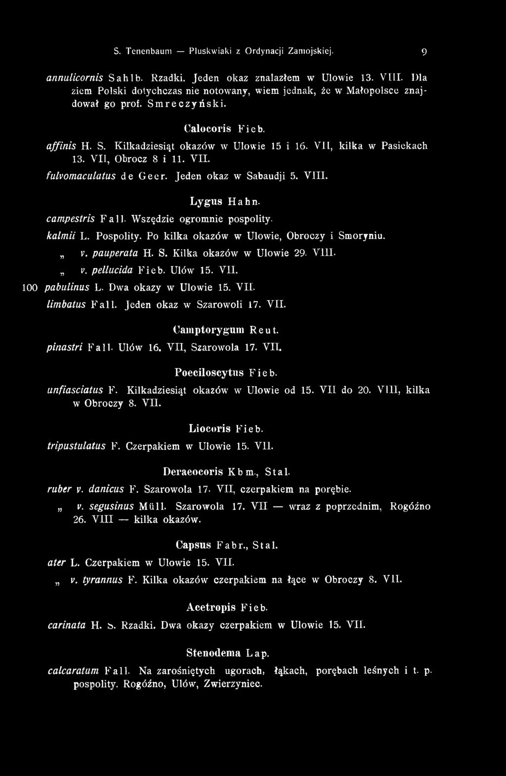 Jeden okaz w Szarowoli 17. VII. C am ptorygum R e u t. pinastri Fali. Ułów 16. V II, Szarowola 17. VII. P oeciloscytns Fieb. unfiasciatus F. Kilkadziesiąt okazówr w Ulowie od 15. V II do 20.