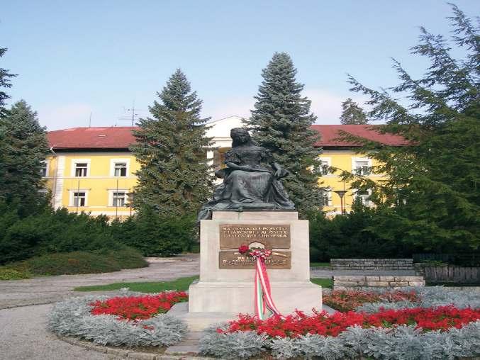 V kúpeľoch sa liečia choroby zažívacieho traktu, dýchacieho ústrojenstva, ľahšie srdcové ochorenia a pod. Minerálne pramene sa využívajú na pitné kúry, kúpeľnú a inhalačnú liečbu.