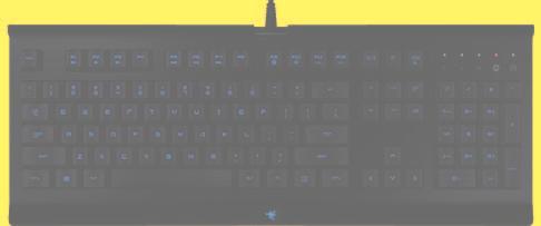 Gra PC NEED FOR