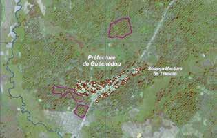 Można je wcześnie wykryć i monitorować przy pomocy satelitarnego monitoringu chlorofilu (wskaźnika obecności glonów), co oferuje usługa Copernicus monitorowania środowiska morskiego oraz aplikacje i