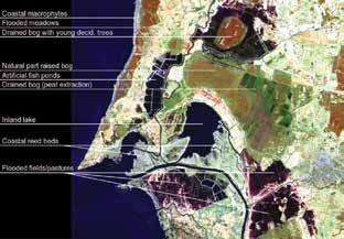 W ramach usługi monitorowania obszarów lądowych Copernicus monitoruje się siedliska charakteryzujące się różnorodnością biologiczną, takie jak obszary Natura 2000, obszary podmokłe i nadbrzeżne