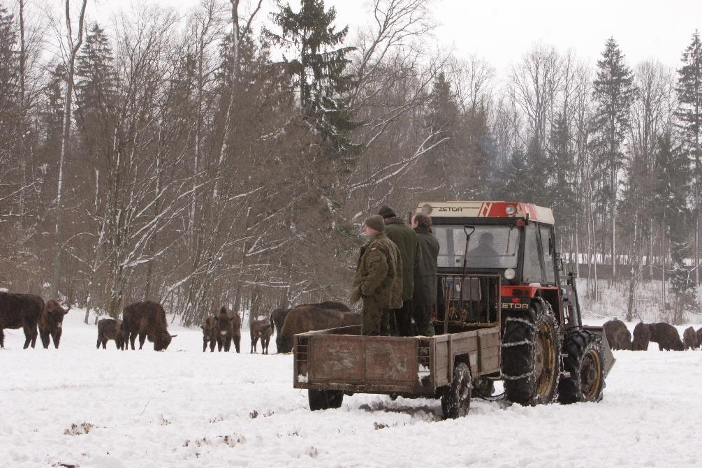 składu pasz i zaopatrzenia w składniki mineralne.