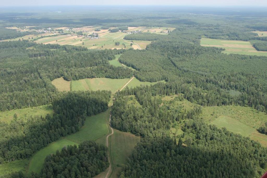 Puszcza Augustowska jako biotop przyszłej populacji żubra Oczekiwania co do charakterystyki terenu - spełnianie wymagań środowiskowych gatunku (żer, osłona, wielkość obszaru) - unikanie konfliktów z