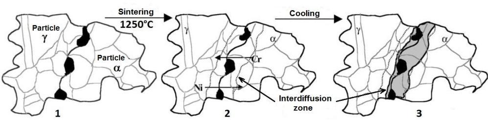 Rys. 2. Kształtowanie mikrostruktury stali spiekanych Źródło: opracowanie na podstawie (CAMPOS M., BAUTISTA A., CACERES D., ABENOJAR J., TORRALBA J. 2009) 2.
