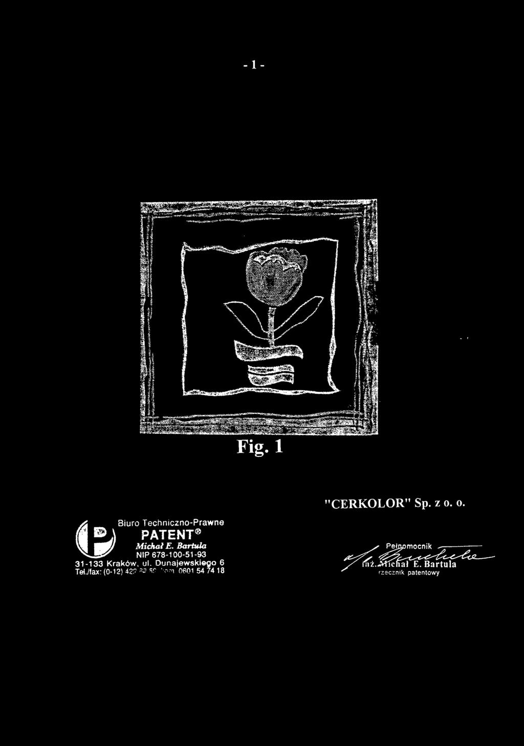 Fig. 1