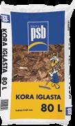 cebula dymka Studgarter,
