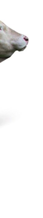 HE R AIK I N U G AT * FR4004321208 Urodzony: 20124,