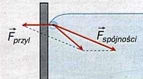 08829 kg s 0.
