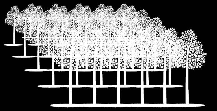 000 * 7 50 /Oxytree ** 8 9 * Netto 10 ** Oczekiwany dochód