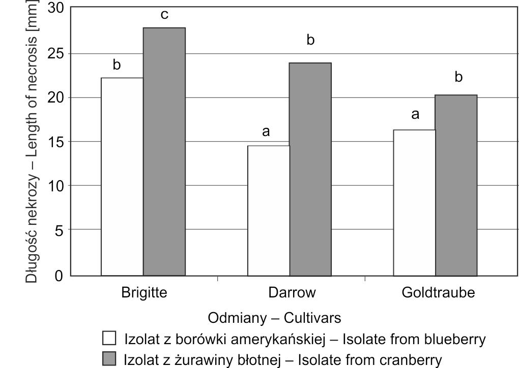 cinnamomi izolowano z tkanek 21 roślin, podczas gdy pozostałe grzyby występowały sporadycznie. Zastosowanie pułapek z liści różanecznika do wykrywania Phytophthora sp.