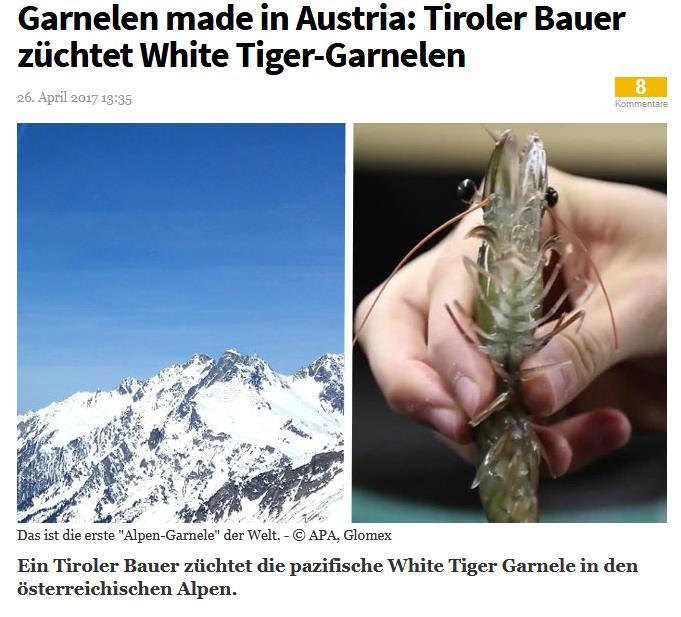 HODOWLA W SYSTEMACH ZAMKNIĘTYCH (RAS) AUSTRIA: