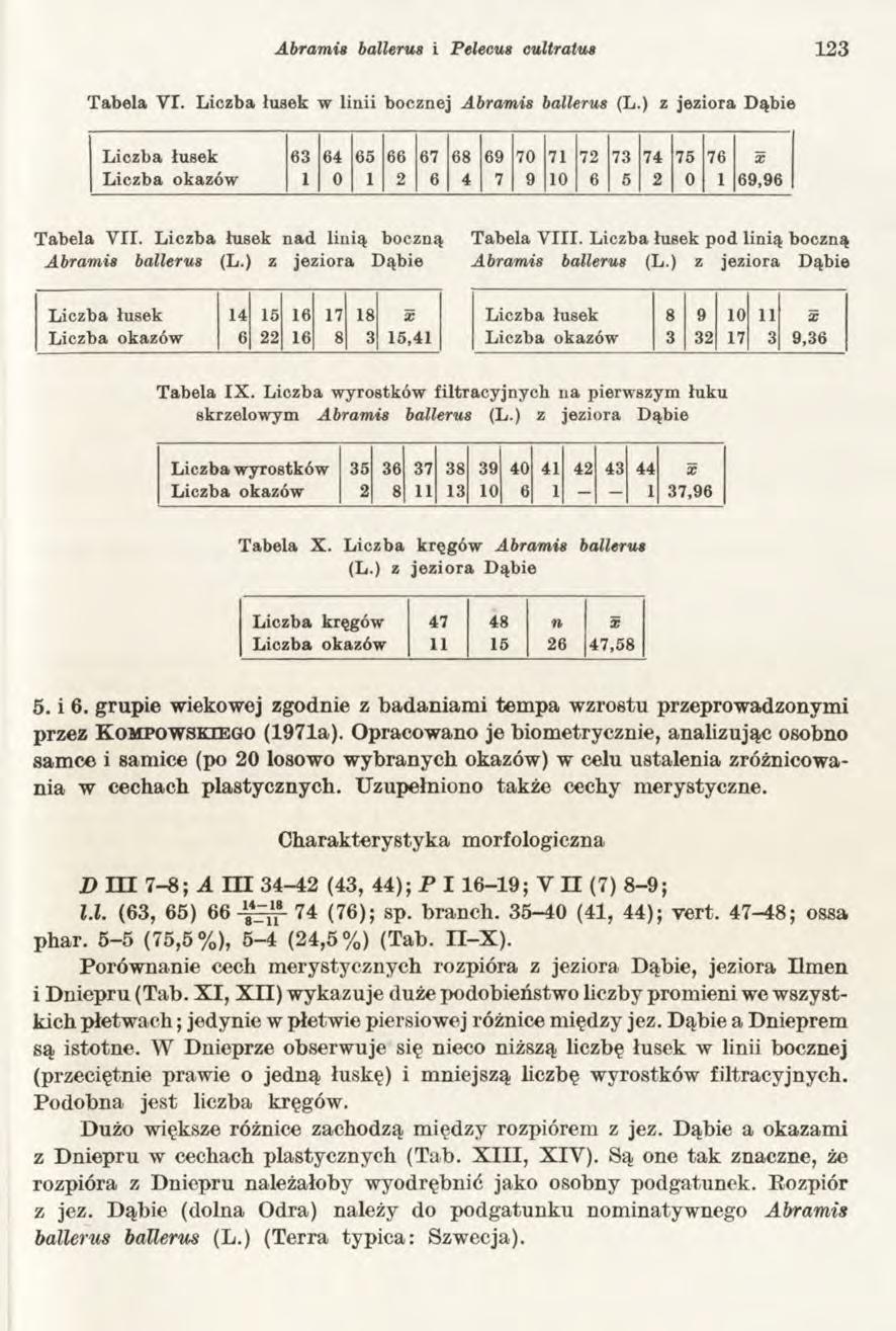 Abrami8 ballerus i Pelecus cultratus 123 Tabela VI. Liczba łusek w linii bocznej Abramis ballerus (L.