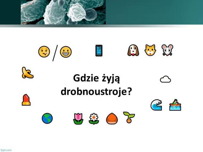 Warsztaty i