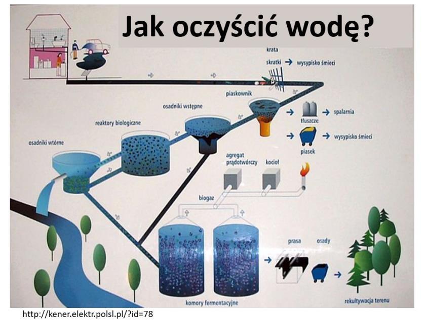 literaturowe / internetowe rycin i zdjęć