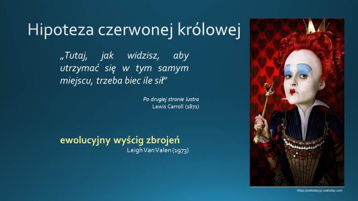 warsztatami