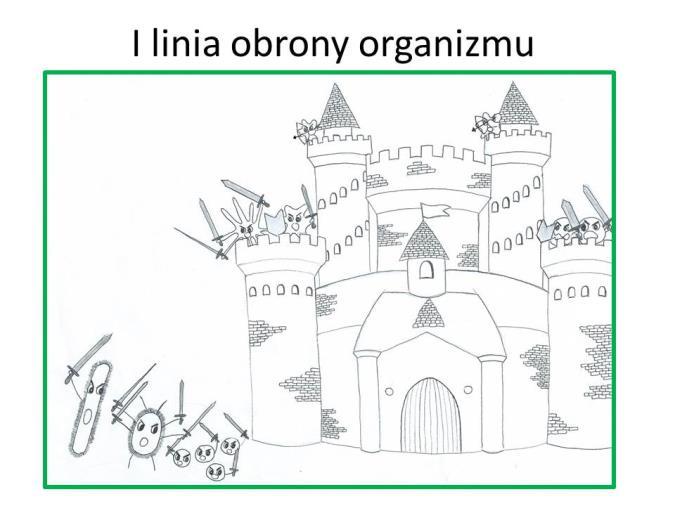 rycin i zdjęć
