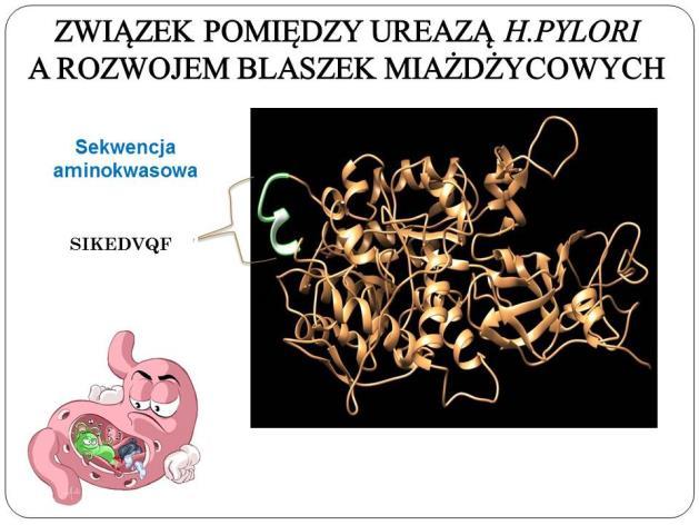 w pełnych