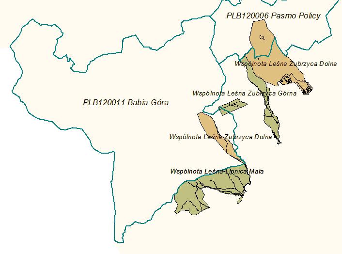 Mapa sytuacyjna OSO Babia Góra Tabela 9 Wykaz gruntów leśnych będących własnością wspólnot w zasięgu OSO PLB 120011 Babia Góra Nazwa wspólnoty Adres leśny Powierzchnia [ha] 1 2 3 Wspólnota Leśna