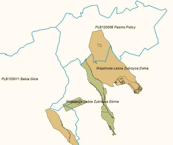 Mapa sytuacyjna