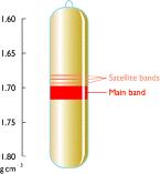 Satelitarny DNA powtórzenia tandemowe jednostek 1 - >200 nukleotydów satelity głównie w centromerach minisatelity