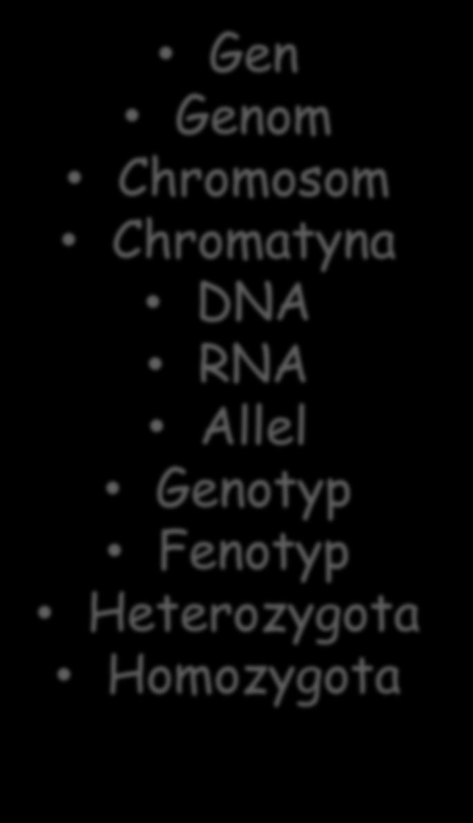 Podstawowe pojęcia Gen Genom Chromosom Chromatyna