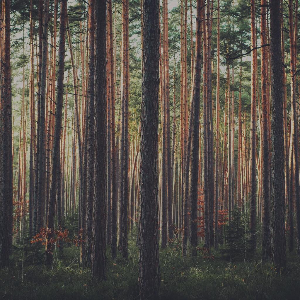 NATURA