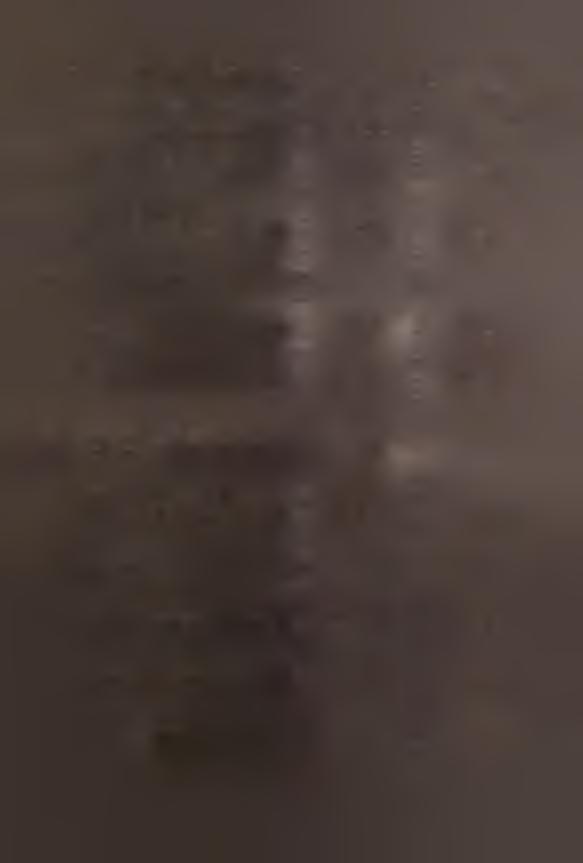 W Y S Z C Z E G Ó L N I E N I E 1 9 9 0 1 9 9 1 rok poprzedni = 100 Wskźnik cen relizcji produkcji przemysłowej.