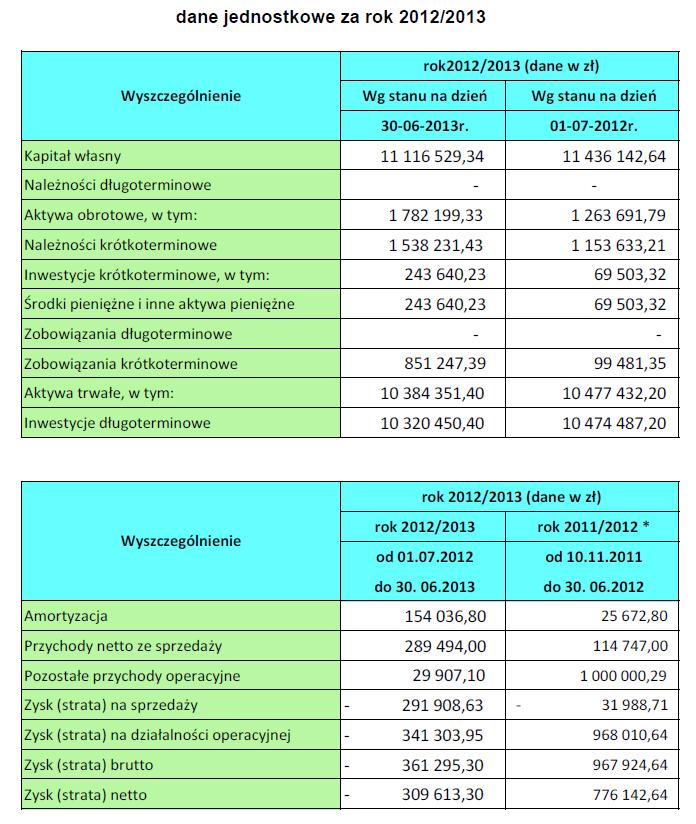 Wybrane dane finansowe Raport