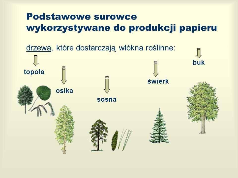 Surowcem podstawowym do produkcji opakowań papierniczych są włókna pochodzące z drzew