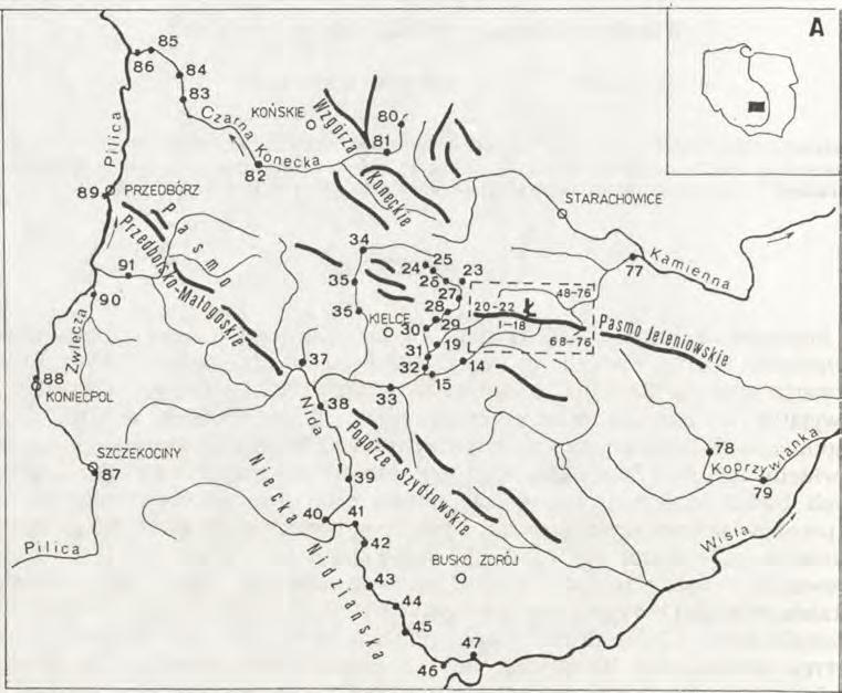 Obszar ten odpowiada Górom Świętokrzyskim w ujęciu G i l e w s k i e j (1972) i jest w głównych zaiysach równoznaczny z programem badań terenowych "maksimum" zaproponowanym przez L ia n ę (1983).