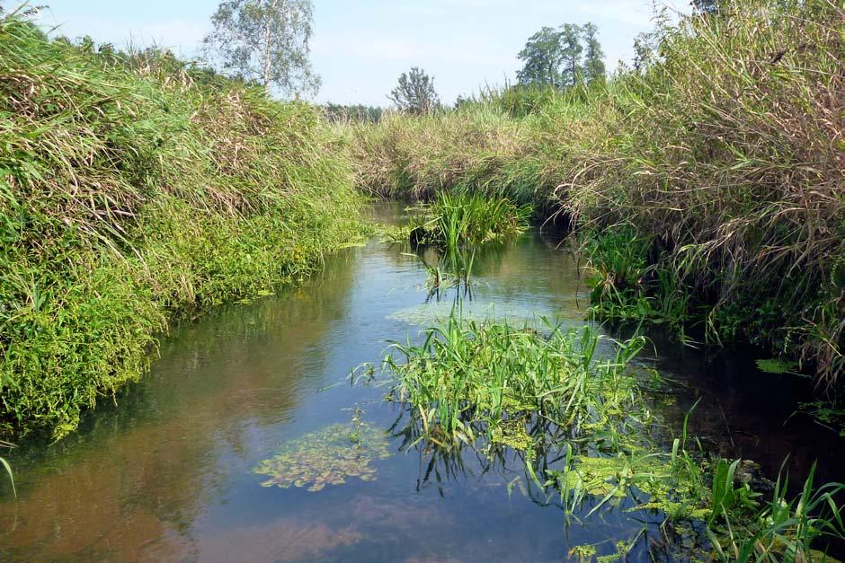 Ocena stanu ekologicznego górnego biegu rzeki Wieprz z zastosowaniem makrofitów... 29 5.