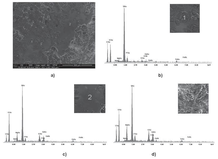 analiza EDS w obszarze nie skorodowanym (2). Fig. 3.