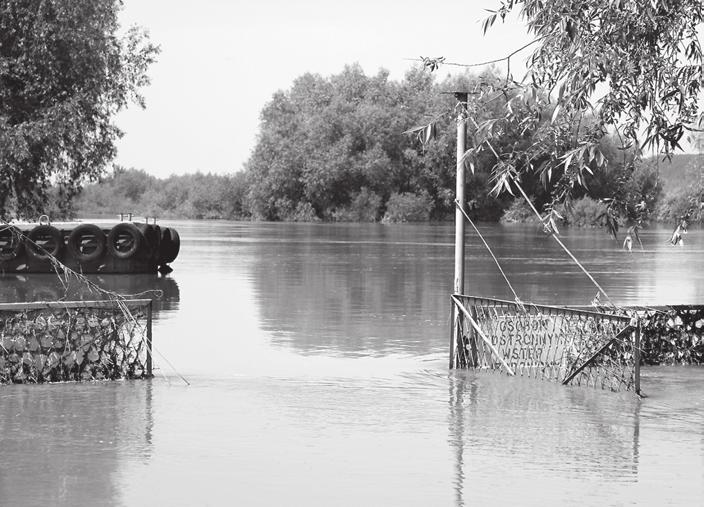 W pierwszej po³owie maja 2010 na terenie naszego kraju notowano liczne opady przelotne, a okresami intensywne, niekiedy z wy³adowaniami atmosferycznymi.