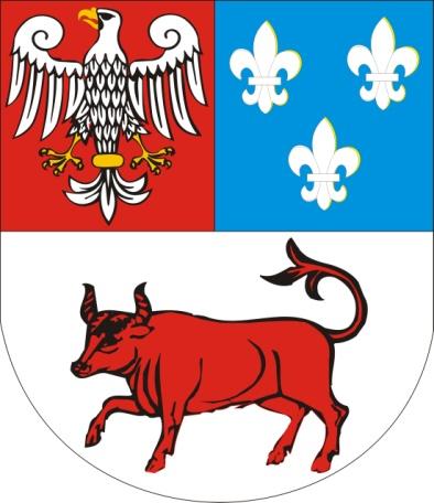 ZARZĄD POWIATU TURECKIEGO PROGRAM USUWANIA AZBESTU I WYROBÓW