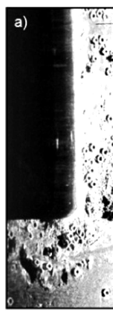 w odczyytywaniu i interpretacjji obrazu sonarowego dna a użytteczność takk zarejestro owanych danych maleje [Chaang i in. 2010]. 32 M. Wąż i in.