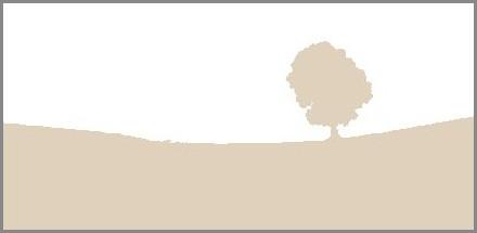 PROJEKT ZAGOSPODAROWANIA PLACU ZABAW PRZY SZKOLE PODSTAWOWEJ NR 18 w Szczecinie OBIEKT: Plac zabaw przy Szkole Podstawowej nr 18 im. gen. Józefa Bema w Szczecinie ADRES: ul.