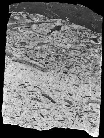 Dewon 61 Fig. 9.