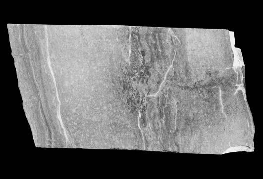 4184,0 m; B laminit kryptoalgowy; formacja studnicka, g³êb.