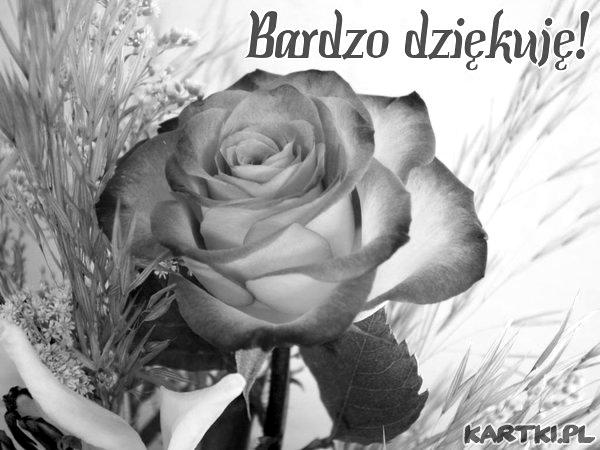 Jak każdego roku zgromadzi się tam szczególnie młodzież, by odmowić wspólnie Koronkę do Miłosierdzia Bożego. Serdecznie zapraszamy młodzież oraz całe rodziny do wspólnej modlitwy o godz. 3 pm.