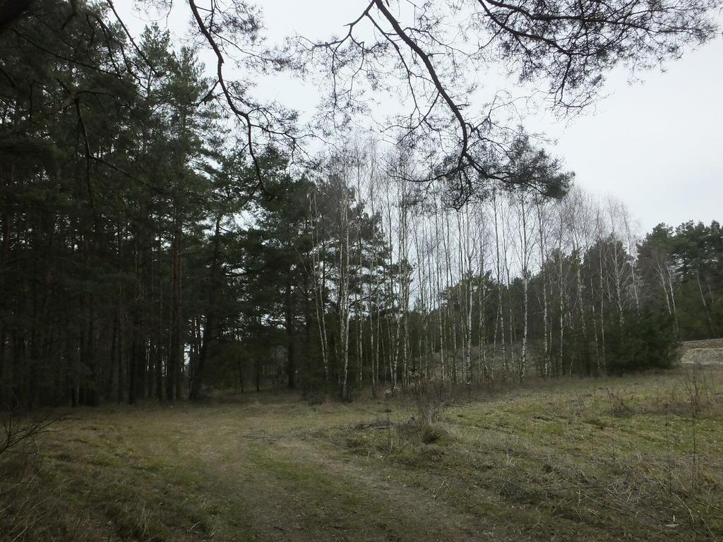 Fotografie Opr